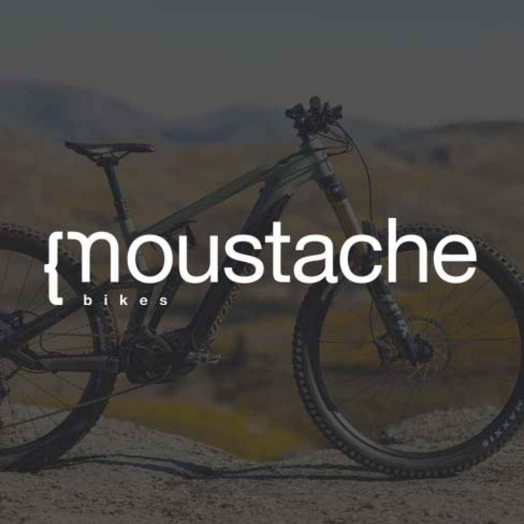 bg_moustache_d